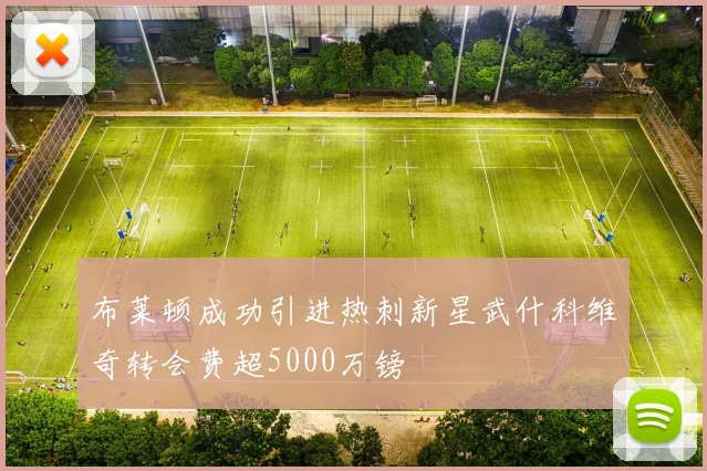 布莱顿成功引进热刺新星武什科维奇转会费超5000万镑